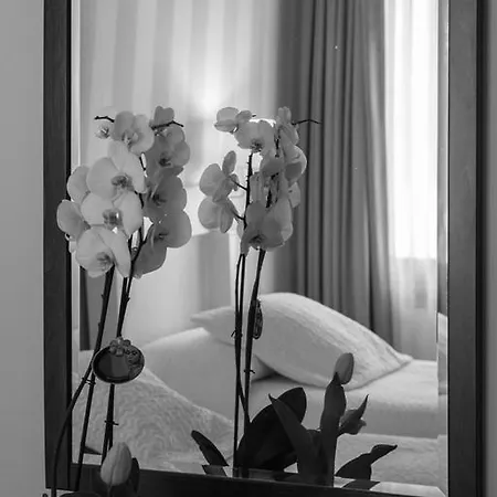 Hotel La Sosta 3*